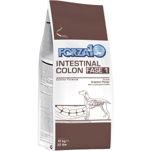 Forza10 Intestinal Colon Fase I